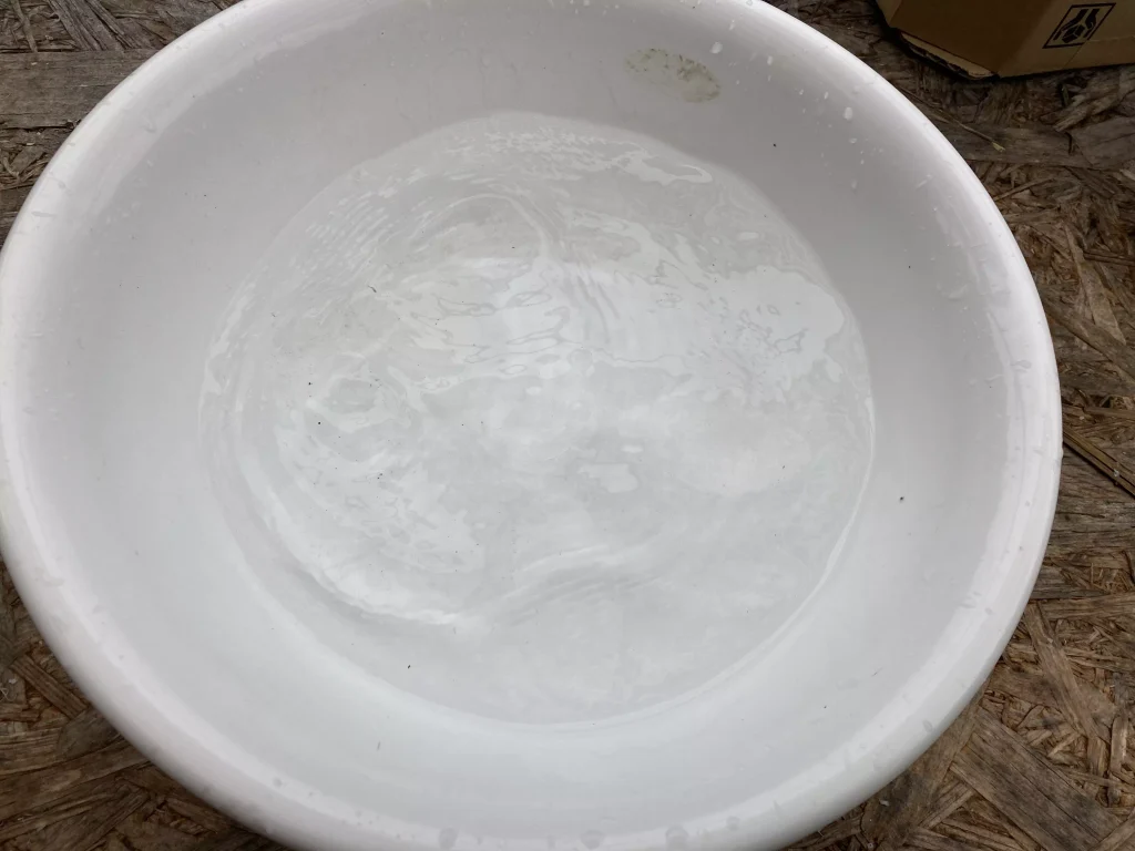 水を張った洗面器