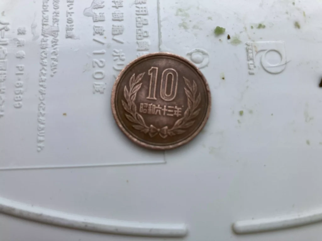 イタドリで磨いた10円硬貨