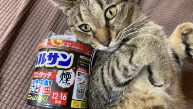 ペットとバルサン