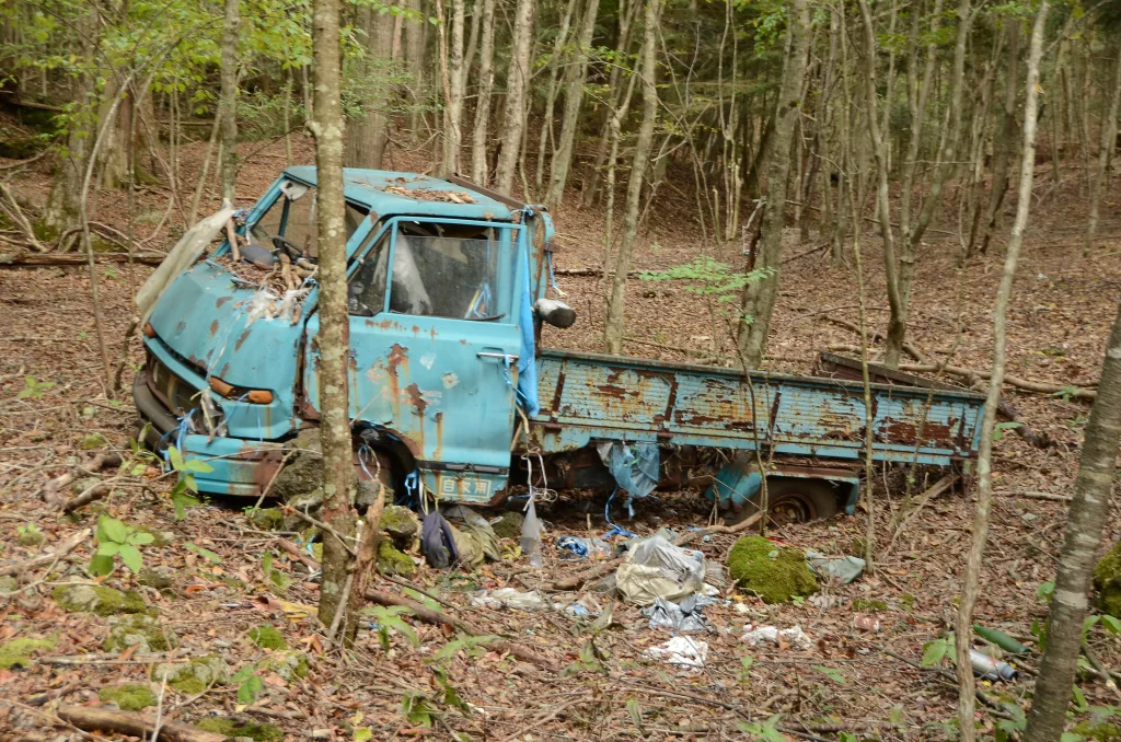 樹海と廃車