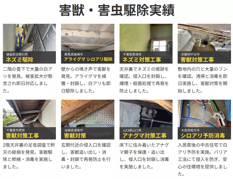 駆除実績